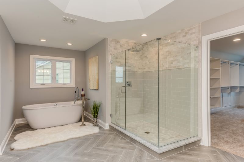Contemporary Shower Enclosure